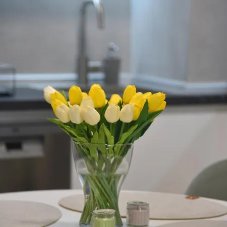 דירה Urban Elegance Ni